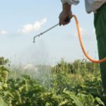 Disinfezione giardini a Rimini